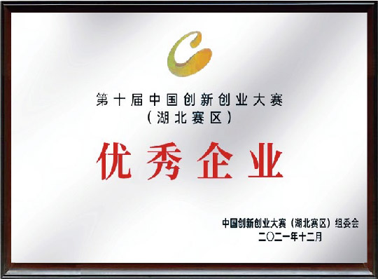 第十届中国创新创业大赛(湖北赛区)