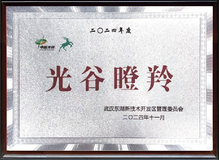 武汉东湖新技术开发区管理委员会